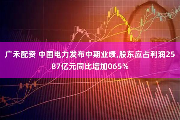 广禾配资 中国电力发布中期业绩,股东应占利润2587亿元同比增加065%