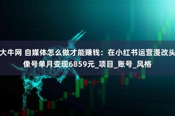 大牛网 自媒体怎么做才能赚钱：在小红书运营漫改头像号单月变现6859元_项目_账号_风格