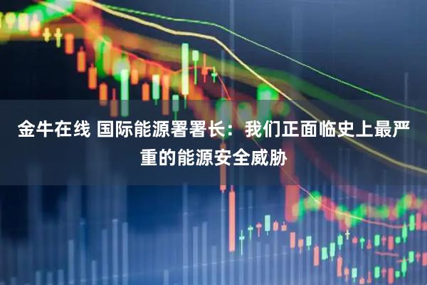 金牛在线 国际能源署署长：我们正面临史上最严重的能源安全威胁