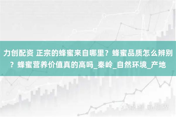 力创配资 正宗的蜂蜜来自哪里？蜂蜜品质怎么辨别？蜂蜜营养价值真的高吗_秦岭_自然环境_产地