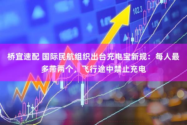 桥宜速配 国际民航组织出台充电宝新规：每人最多带两个，飞行途中禁止充电
